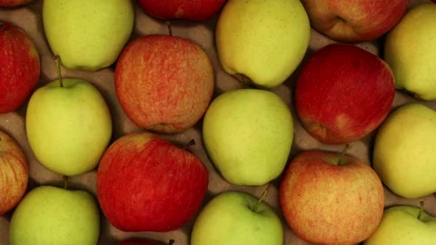 Top down shot of sunrise light hitting basket of fresh apples Stock Footage 339299498