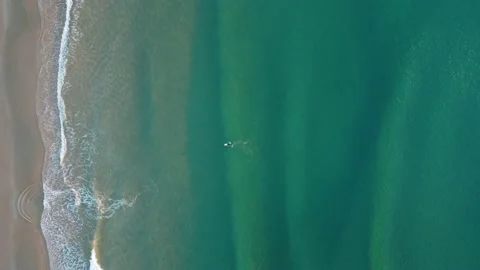 Top Down Shot of Surfer catching Waves at Costa da Caparica beach, Portugal Stock Footage 146102025