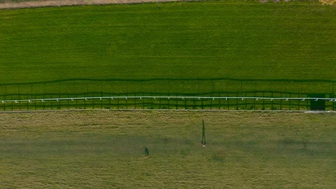 Top down silhouette of a Dog Walker shadow walking his dog from above on grass Video stock 125531924