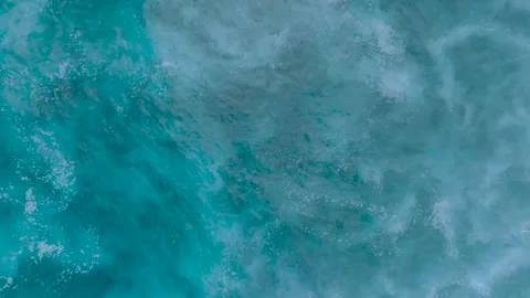 Top Down Slow Motion of coral reef in Bali Indonesia Stock Footage 273009858