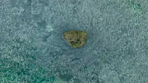 Top Down Slow Motion Drone of coral reef in Bali Indonesia Stock Footage 273009847