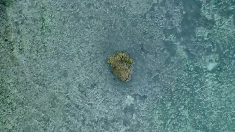 Top Down Slow Motion Drone of coral reef in Bali Indonesia Stock Footage 273009859