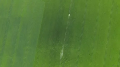 Top Down Slow Pass Over Green Endless Field Ecology Agriculture Crops Stock-Footage 274138970