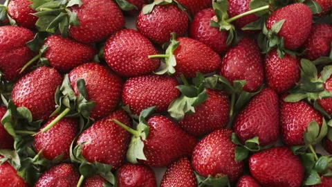 Top Down Slow Rotation Shoot. Harvest Of Beautiful Ripe Red Strawberries Stock Footage 186173632