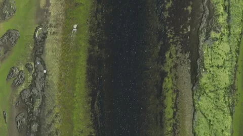 Top Down Sludge in Los Angeles River Drone Aerial View 스톡 동영상 335339678