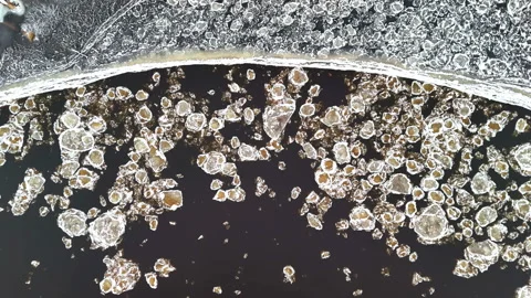 Top Down of Snow or Ice Blocks Moving in Fluid, Abstract Motion Stock Footage 318295954