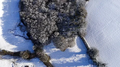 Top Down Snowy Meadow and Woodland Edge Stock Footage 345960047