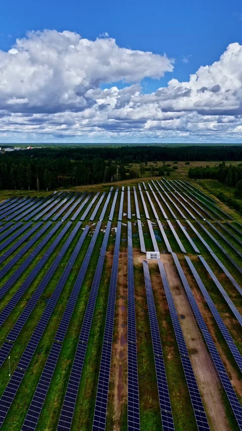 Top Down of Solar Array Rows in Renewable Energy Zone Stock Footage 316390575