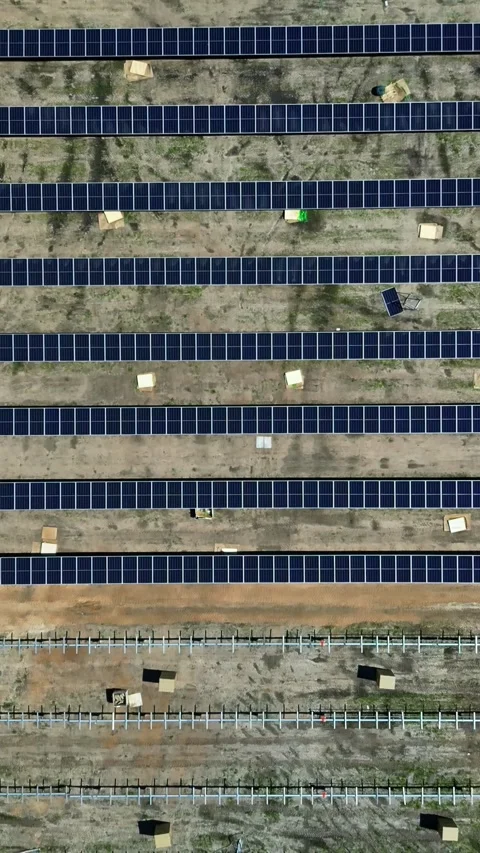Top-Down Solar Panel Array Descending Stock Footage 313256436