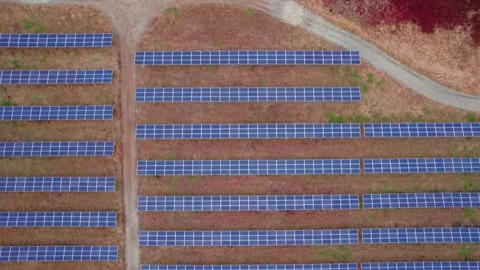 Top down of solar panels installed in a pattern grid. Fall season USA Stock Footage 256070030