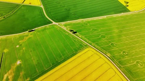 Top Down Spring Aerial of Rapeseed and Green Fields in Latvia Stock Footage 330903056