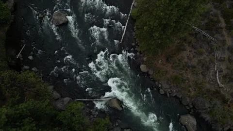 Top Down Stationary View of White Water Rapids on River with Large Tree Video stock 249822939