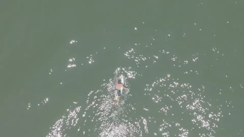 Top-down surfer paddling bottom to top Video stock 345225287