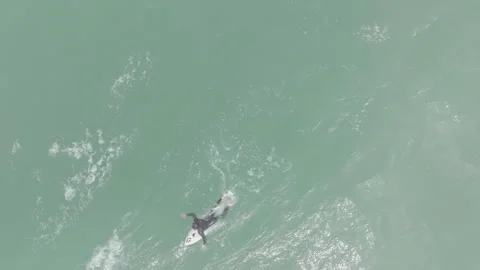 Top-down surfer paddling waiting wave Stockbeeldmateriaal 345225285