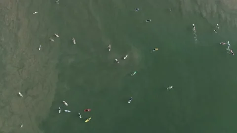 Top down surfers waves aerial drone Sri Lanka Stock Footage 236944788