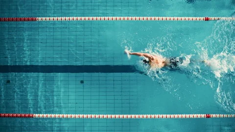 Top Down Swimmer in Swimming Pool Stock Footage 156549165