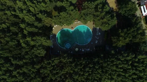Top Down Swimming Pool Forest Dzwirzyno Basen Las Aerial View Poland Stock Footage 243249355