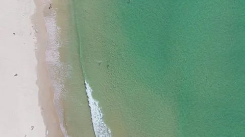 Top Down Tracking Aerial of Vibrant Beach in Noosa Australia, 4k Drone Footage Stock Footage 252330122