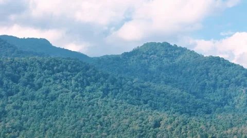 Top Down Traditional bamboo huts on Huay Tueng Thao Reservoir Chiang Mai Th.. Stock Footage 331476220