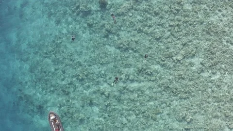 Top down tropical reef dinghy Indonesia 库存影片 236946527