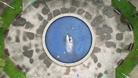 Top down video of a square in Santos. Monument of a surfer in a garden. Video stock 244447465