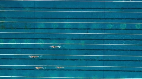 Top down video of swimming pool centre with people practising swimming Stockbeeldmateriaal 197515009