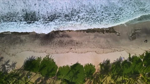 Top down view 4k video aerial ocean waves on beach in reunion island Stock Footage 174861720