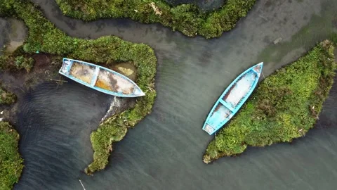 Top down view of abandoned boats at the wetland. Stock Footage 160148475