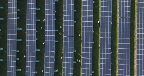 Top Down View Aerial View Industrial Solar Farm Stock Footage 218471192