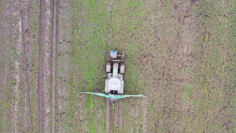 Top down view. Aerial view. The tractor drives through the field. Autumn work. Stock Footage 221268782