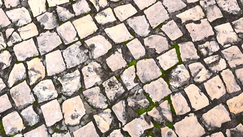 Top Down View of Aged Portuguese Cobblestone Pavement with Moss Texture Stock Footage 325715333