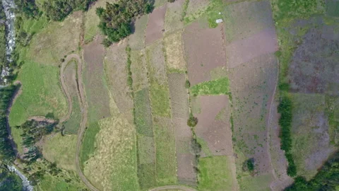 Top down view of agricultural fields and meadows in the Andes of South America Stock Footage 169960830