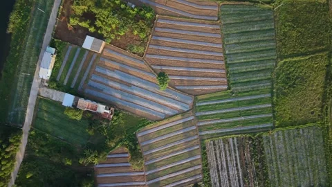 Top Down View of Agricultural Fields and Rural Landscape in Central Vietnam Stock Footage 337867011