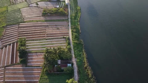 Top Down View of Agricultural Fields Along Reservoir in Central Vietnam Stock Footage 337867553