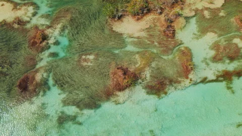 Top down view of algae and water patterns in Bacalar lake of seven colors Mexico Stock Footage 344703284