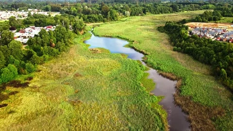 Top down view and backwards drone shoot movement of woodland. Lush trees in rura Stock Footage 275650283