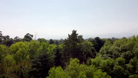 Top down view and city reveal above a large park in Mexico City Stock Footage 150395838