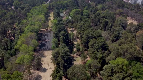 Top down view and city reveal above a large park in Mexico City Stock Footage 150395995