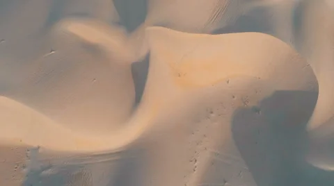 Top down view of animal footprints on dune in the arabian desert Vídeo Stock 55518009