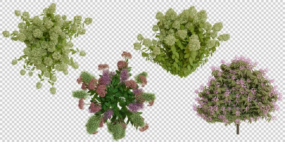 Top-down view of assorted flowering shrubs Stock Photos