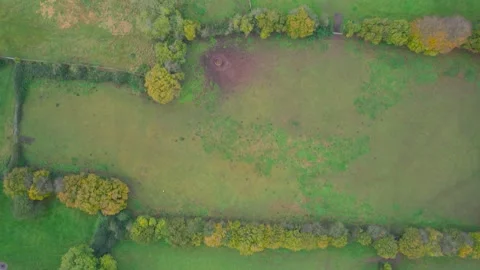 Top Down view of Autumn Colors over Somerset fields from a drone, England Stock-Footage 165011668