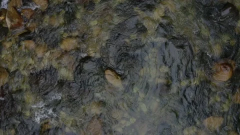 Top down view background of a cold, blue colored water current Stock Footage 160327161