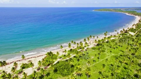 Top-down view of a Bahamas beach by the blue sea. Stock-Footage 346155419