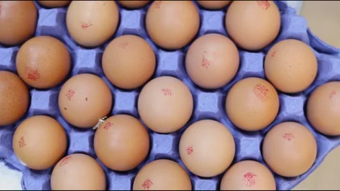 Top down view of bakers dozen of eggs Stock Footage 287252418