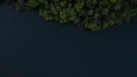 Top down view of beautiful lake with forest view Vídeos de archivo 274663711