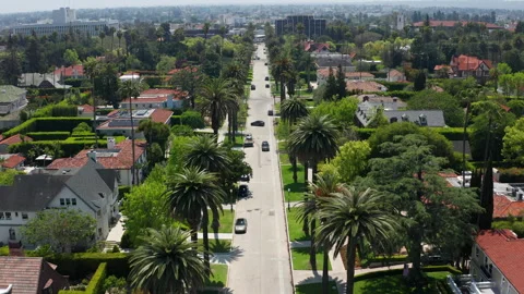 Top down view of beautiful palm trees in Los Angeles with mansions and trees Stock Footage 273880897