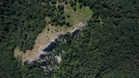 Top down view of beautifull forest of Lazar's Canyon  Stock Footage 220308196