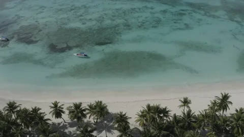 Top to down view. Below the palm tree and above the transparent blue sea. Stock Footage 140867971