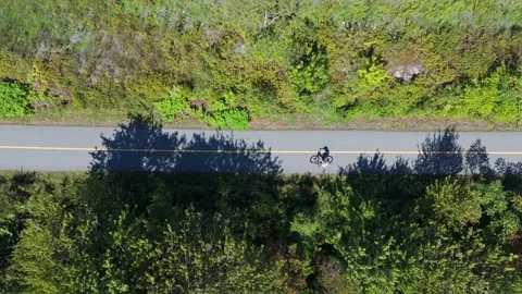 Top Down View Of Bicyclists And Pedestrians In Tree-Shaded Afternoon Park Trail Stock Footage 317901775