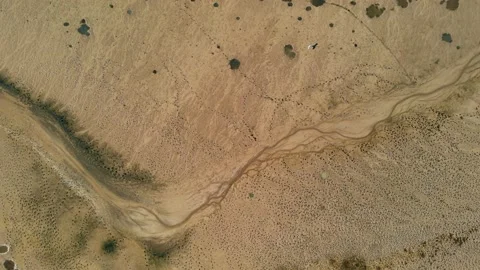 Top down view: the bird sits on the surface of a dry lake. Alien landscape Stock Footage 212442028